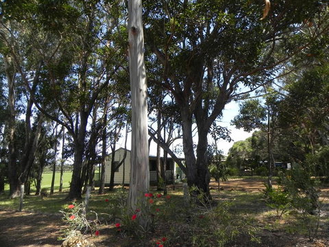 Augusta Chalet - Accommodation NSW 2