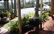 Avaleen Lodge Motor Inn - thumb 2