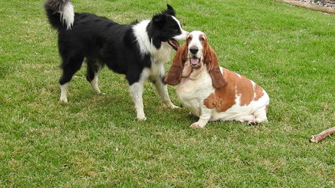 Barklysuites Apartments - Accommodation NSW 2