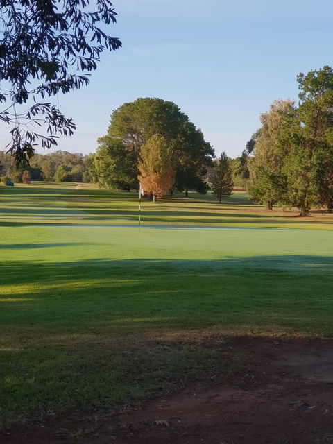 Barooga Golf View Motel - Accommodation NSW 2