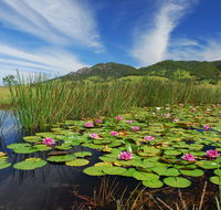 Barrington Hideaway- River Cottages - Accommodation NSW
