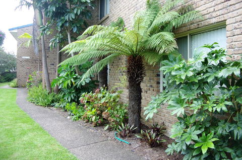 Beachfront Apartments - Accommodation NSW 0