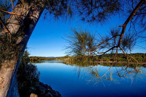 Reflections Ferry Reserve - Holiday Park - Accommodation NSW 2