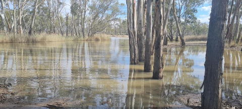 Riversands Rest Accommodation Paringa - River Box Cottage - Accommodation NSW 3