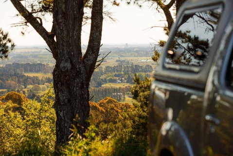Romantic Luxury Tiny Home In An Idyllic Setting - Accommodation NSW 1