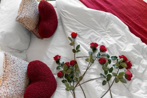 Romantic Retreat With Garden - Accommodation NSW 3