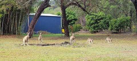 Roo Or 2 On Streeter - Accommodation NSW 0