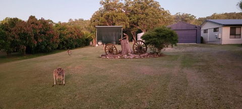 Roo Or 2 On Streeter - Accommodation NSW 1