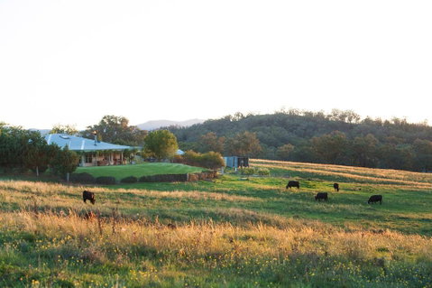 Rosby Guesthouse And Studio - Accommodation NSW 0