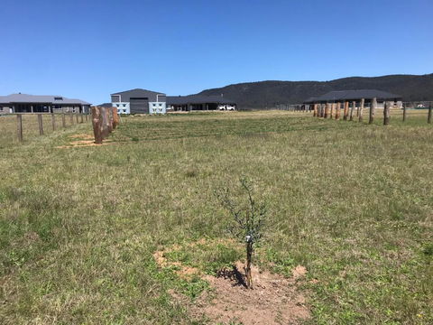 Rosehill Vines - Accommodation NSW 3