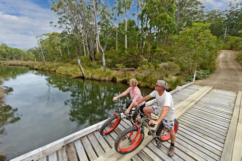 Saintys Creek Cottage - Accommodation NSW 2