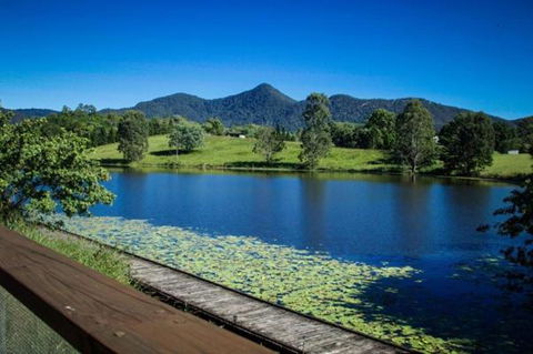 Samford Lakes - Accommodation NSW 3