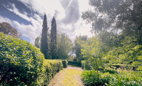 Sanctuary Park Cottages - Accommodation NSW 1