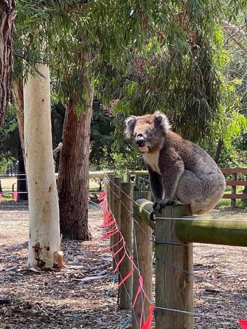 Sherwood Park Bed And Breakfast - Accommodation NSW 1