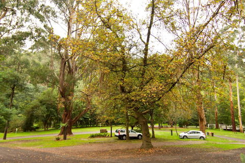 Tarra Valley Retreat - Accommodation NSW 1