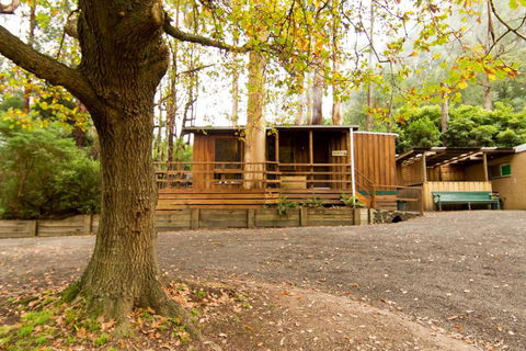 Tarra Valley Retreat - Accommodation NSW 2