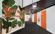 Tequila Sunrise Podstel - thumb 1
