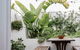 The Artist Retreat 2BR Home 4mins From MCG - thumb 3