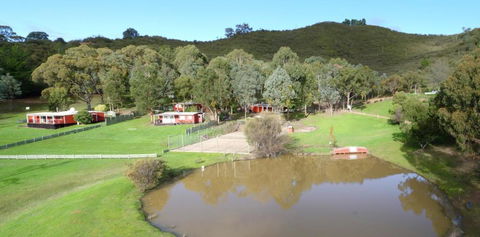 The Black Sparrow - Accommodation NSW 0