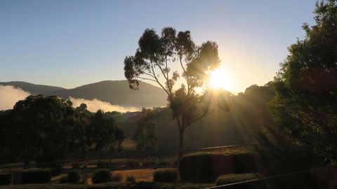The Black Sparrow - Accommodation NSW 3