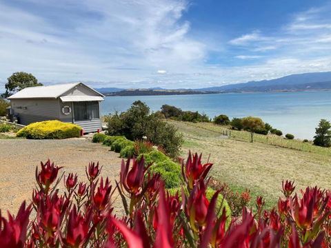 The Boat Shed - Accommodation NSW 2