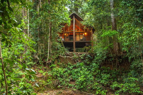 The Canopy Rainforest Treehouses & Wildlife Sanctuary - Accommodation NSW 0
