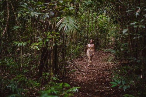 The Canopy Rainforest Treehouses & Wildlife Sanctuary - Accommodation NSW 2