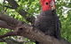 The Bower At Wildside Sanctuary - thumb 1