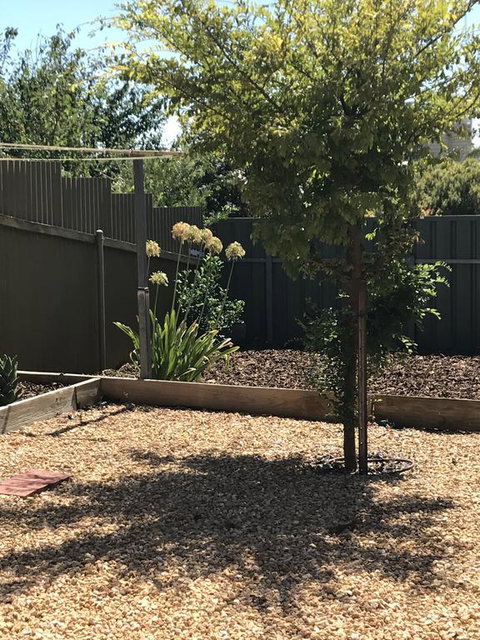 Beatty Cottage - Accommodation NSW 2