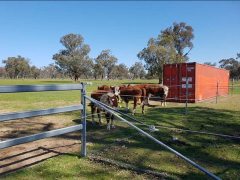 Big Tiny Jindera Park - Accommodation NSW 2