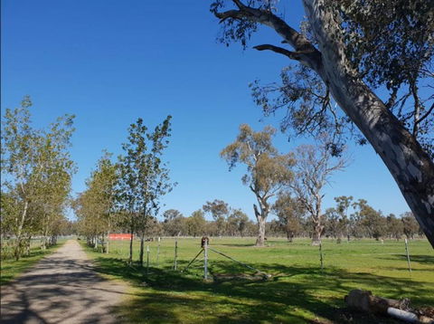 Big Tiny Jindera Park - Accommodation NSW 3