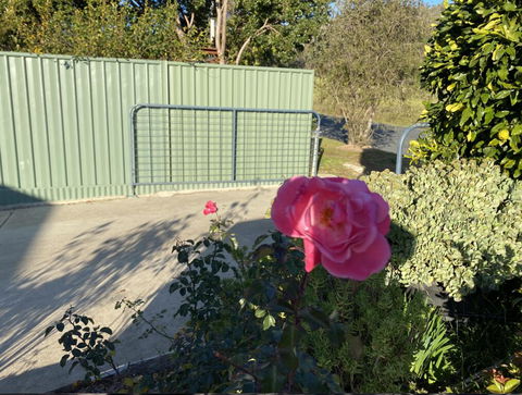 Blue Manor On Fairway - Accommodation NSW 2