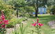 Boat Harbour Garden Cottages - thumb 1