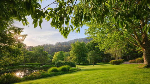 Tieve Tara - Accommodation NSW 1