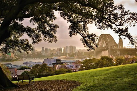 Waterfront - KING Suite New Rooftop Terrace #11A - Accommodation NSW 1