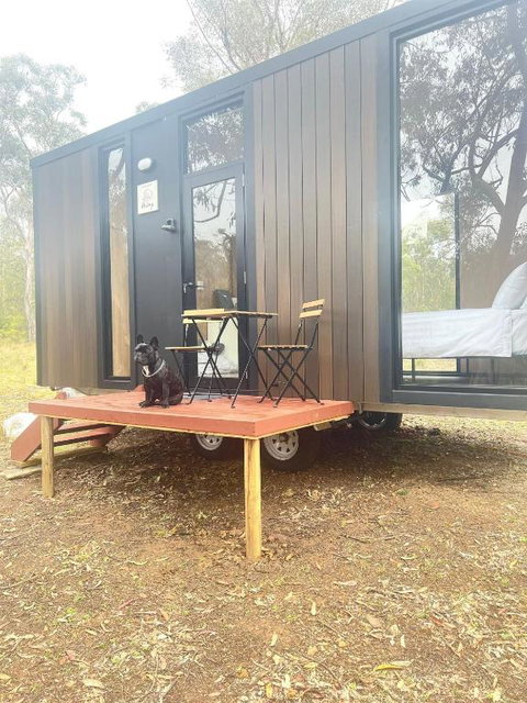 Whispering Wallaby By Tiny Away - Accommodation NSW 1