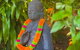 Zenhouse: 6-BR Balinese Tropical Oasis In Nightcliff Central - thumb 3
