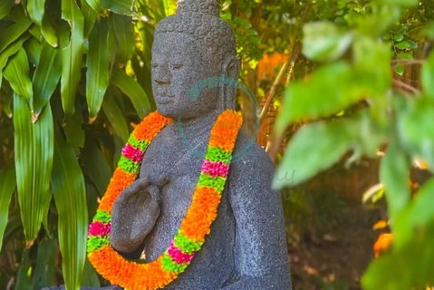 Zenhouse: 6-BR Balinese Tropical Oasis In Nightcliff Central - Accommodation NSW 3