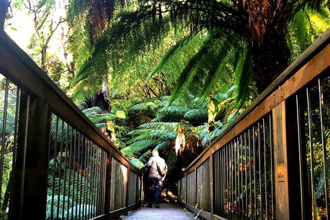 Small-Group Great Ocean Road And Twelve Apostles Full-Day Tour - Accommodation NSW 1