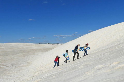 Private, Luxury Pinnacles Tour: Stargazing, Sand-boarding & Sightseeing - Accommodation NSW 4