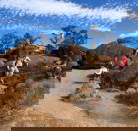 The Big Wave Rock Private Day Tour - Accommodation NSW