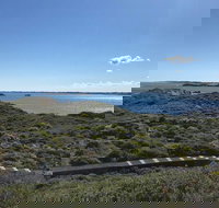 Penguin Island And Fremantle - Canoe Chocolate  Coffee - Accommodation NSW