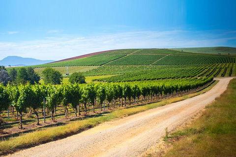 Full Day Tamar Valley Wine Tour - Accommodation NSW 1