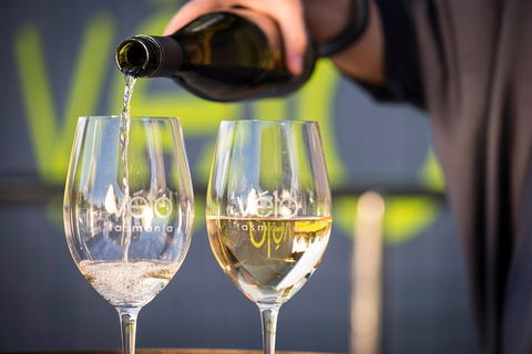 Full Day Tamar Valley Wine Tour - Accommodation NSW 2