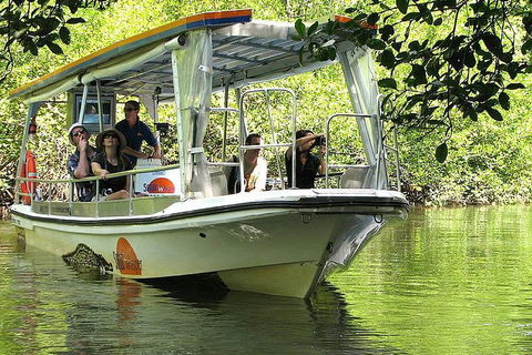 5-Day Best Of Cairns With Daintree, Kuranda, And Great Barrier Reef - Accommodation NSW 1