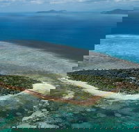 4-Day Cairns with Great Barrier Reef and Daintree Rainforest - Accommodation NSW