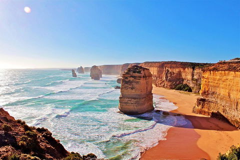 Cruise Ship Shore Excursion - Private Great Ocean Road Full Day Tour (12 Hour) - Accommodation NSW 2