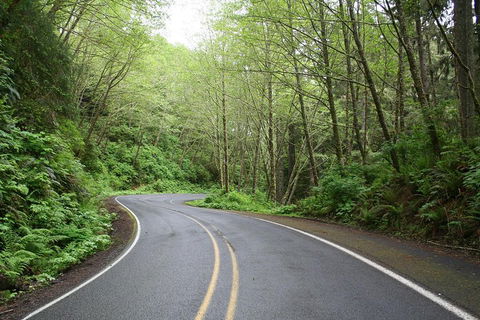 Cruise Ship Shore Excursion - Private Great Ocean Road Full Day Tour (12 Hour) - Accommodation NSW 3