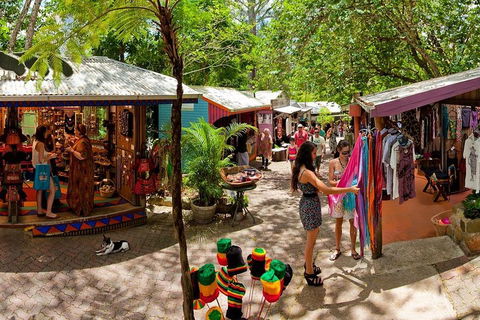 Kuranda Day Trip From Port Douglas Upgrade To Skyrail & Scenic Train Available - Accommodation NSW 2