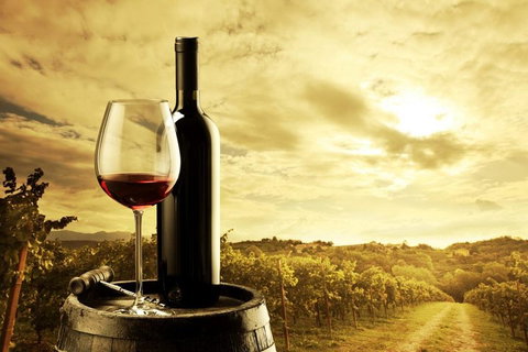 McLaren Vale Luxury Wine Tour - Accommodation NSW 0